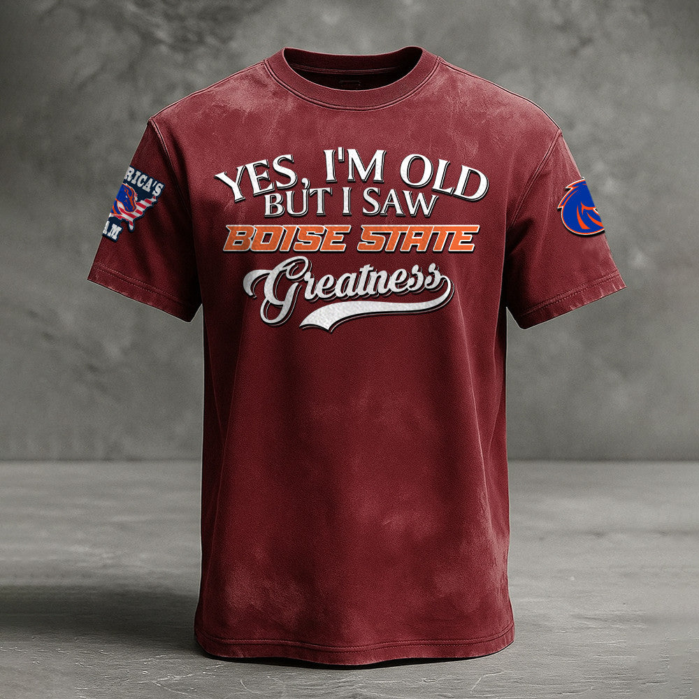 Boise State Broncos NNPAT706