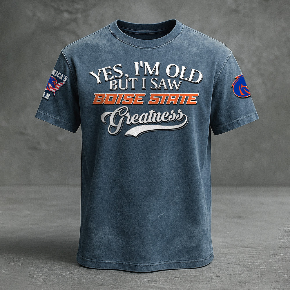 Boise State Broncos NNPAT706