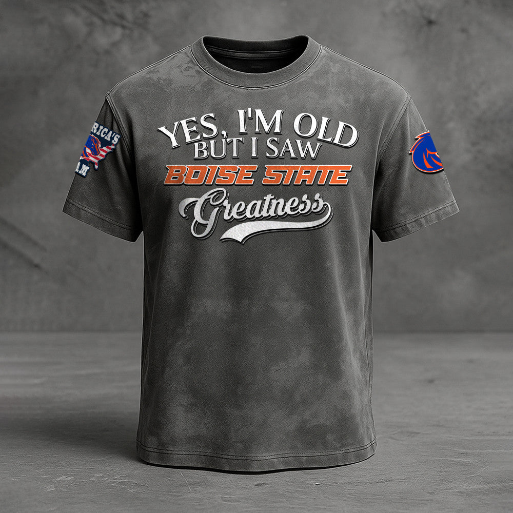 Boise State Broncos NNPAT706