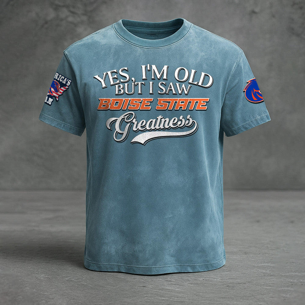 Boise State Broncos NNPAT706