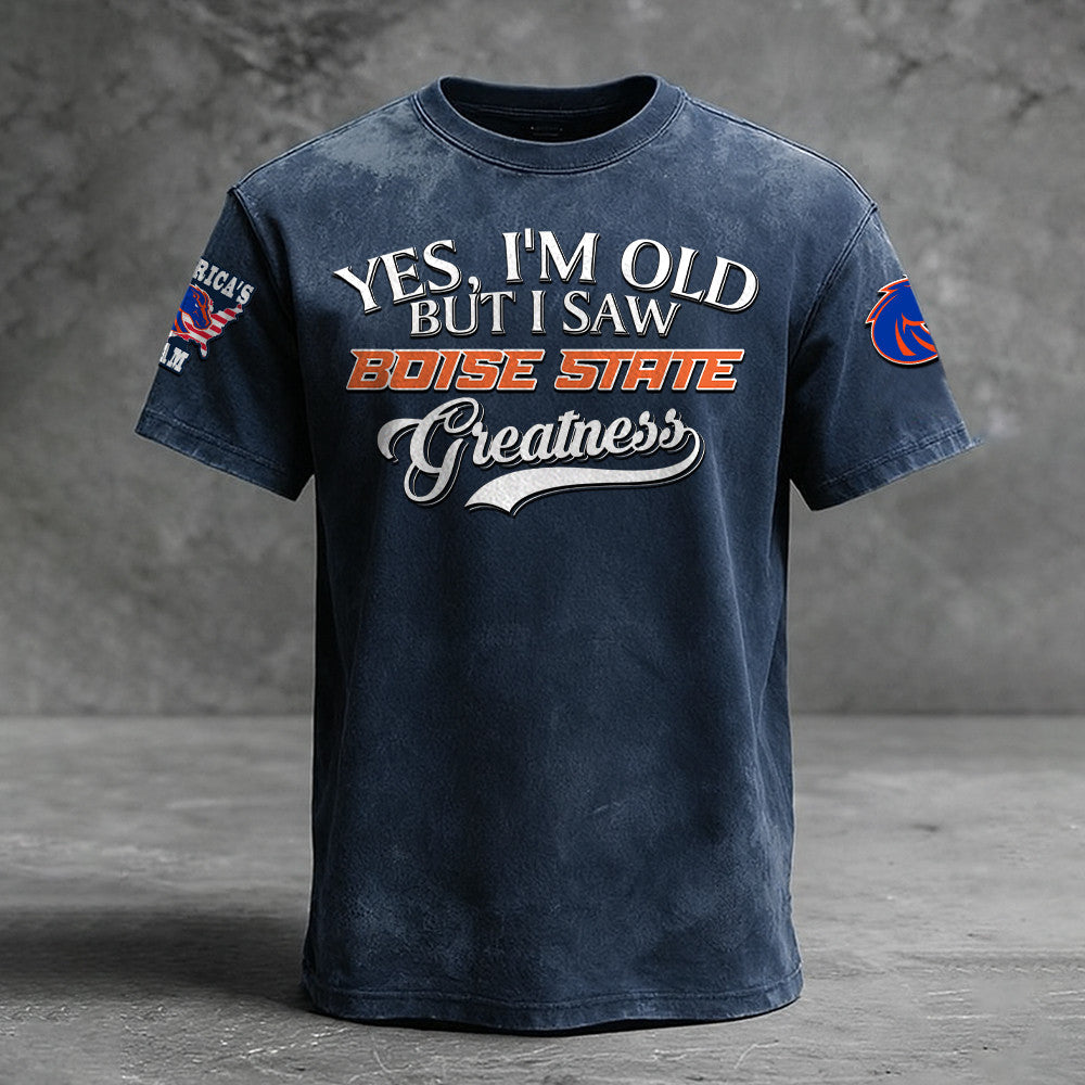 Boise State Broncos NNPAT706