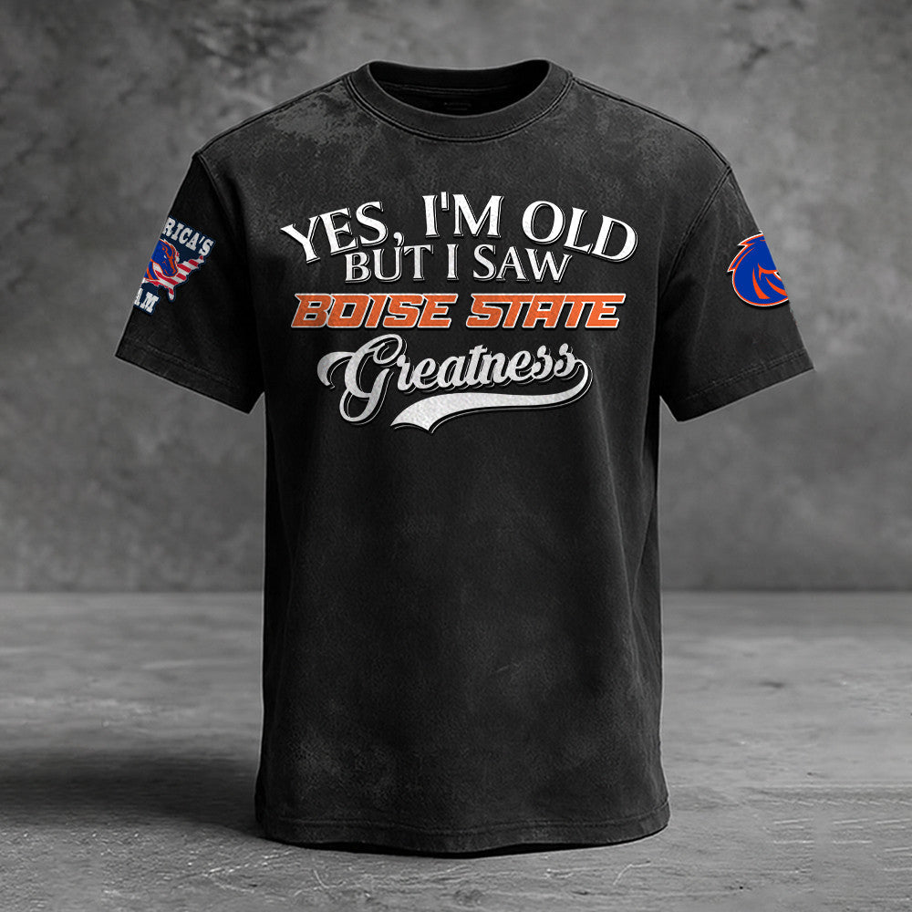 Boise State Broncos NNPAT706