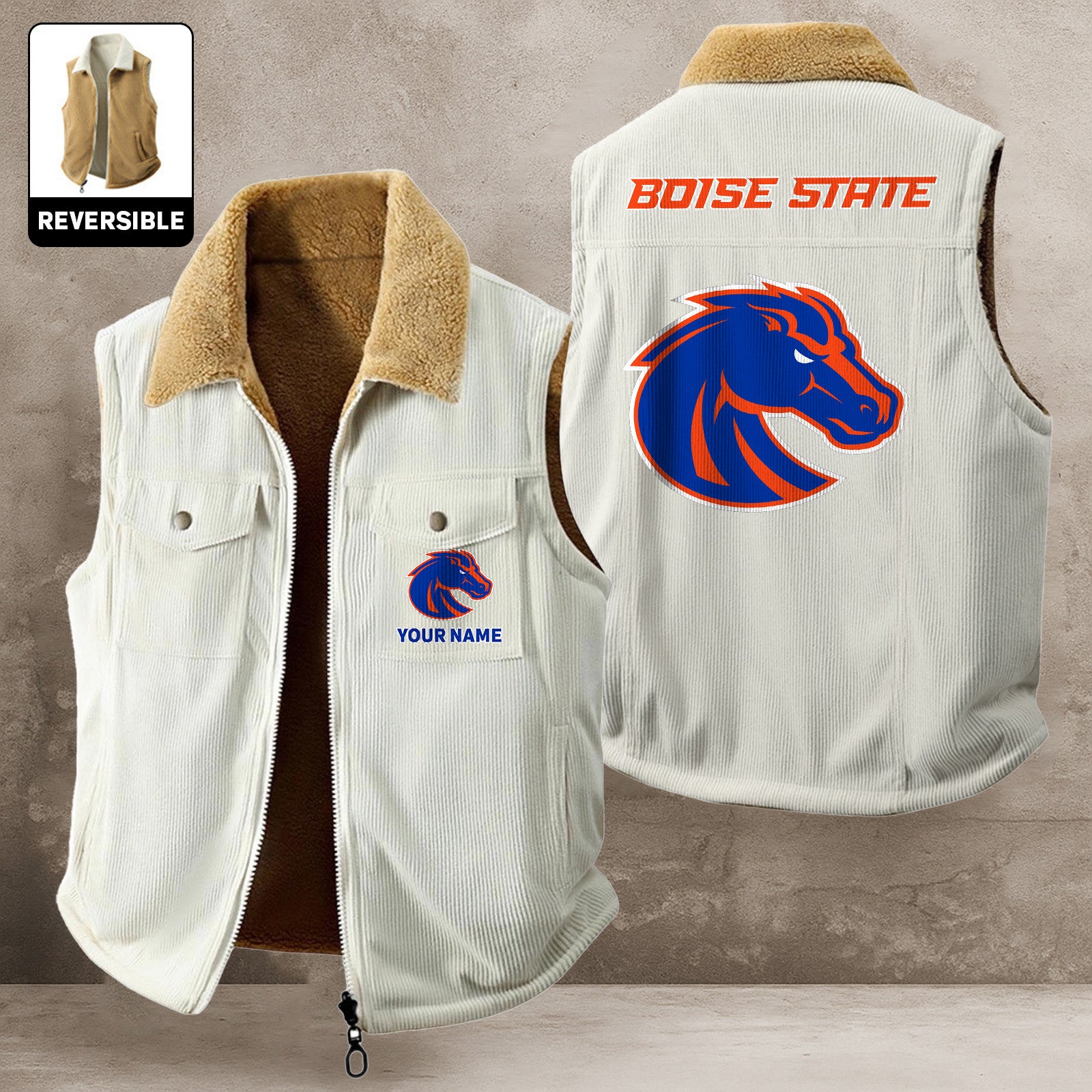 Boise State Broncos NNPCLV007